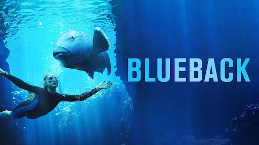 boom reviews - blueback