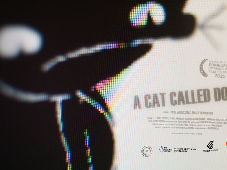 boom reviews - a cat called dom