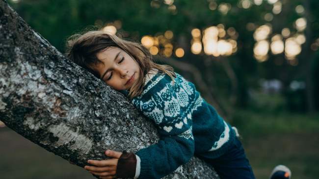 boom reviews A New Kind of Wilderness
