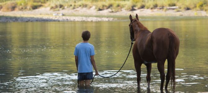 boom reviews lean on pete