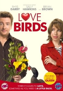 boom competitions - Love Birds
