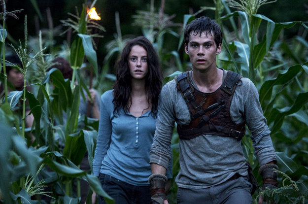 boom reviews The Maze Runner