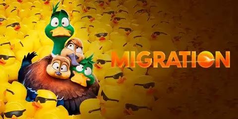 boom reviews - migration