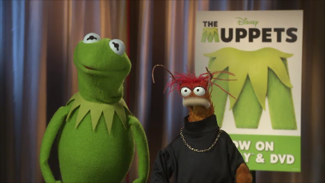 boom reviews - muppets interview