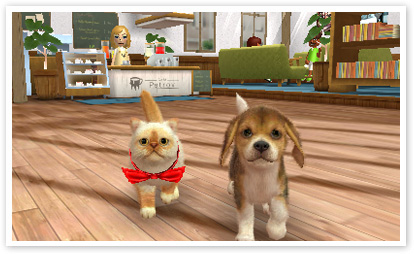 boom reviews - Nintendogs + Cats image