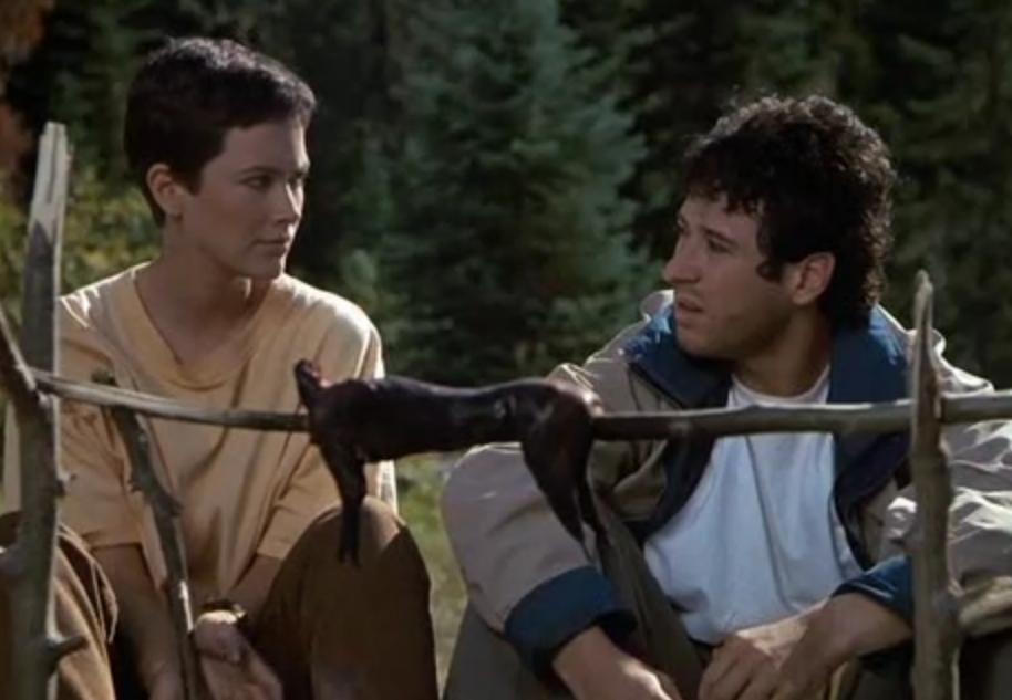 boom competitions - win a copy of Northern Exposure: the Complete Series on Blu-ray
