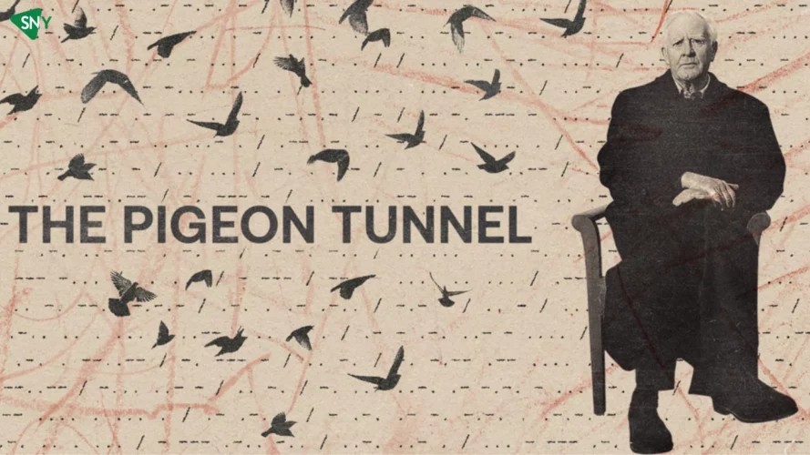 boom reviews - the pigeon tunnel
