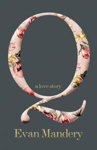 boom book reviews - Q: A Love Story by Evan Mandery