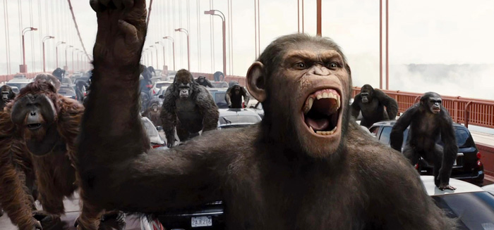 boom dvd reviews - Rise fo the Planet of the Apes image