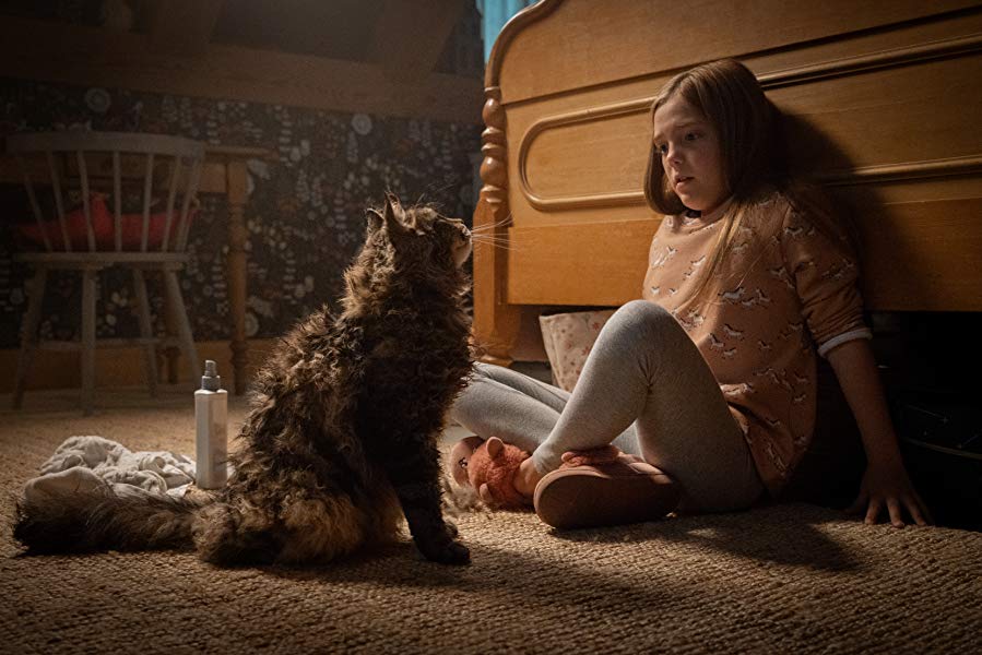 boom reviews Pet Sematary