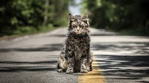 boom reviews - pet sematary