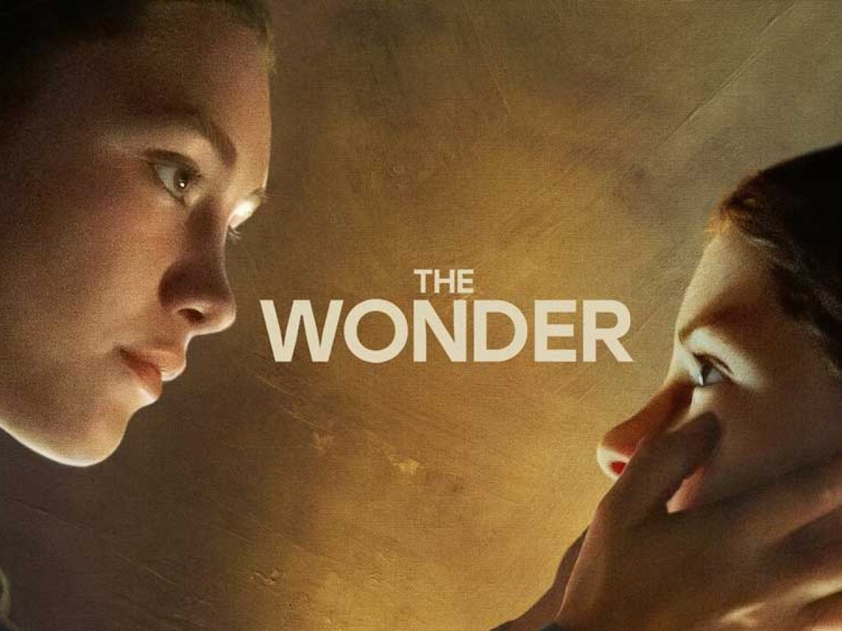 boom reviews - the wonder